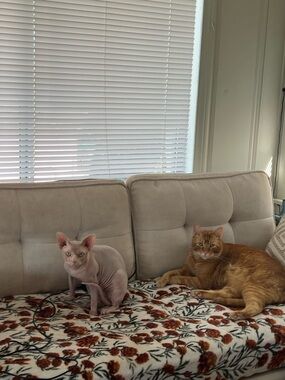 Open to offers! Bundle for big deals💜💜💜